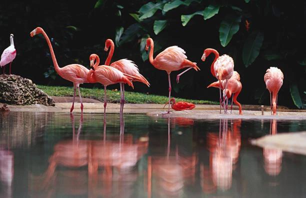 Agriturismo Oasis La Sdriscia エクステリア 写真